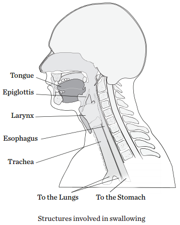 Radiation Therapy to the Head and Neck: What You Need to Know About ...